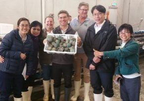 Jade-tiger-indented-head-Melb-Antone-cropped-2M-300x204