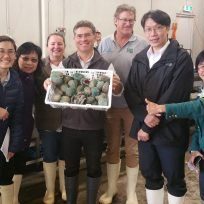 Jade-tiger-indented-head-Melb-Antone-cropped-2M-300x204